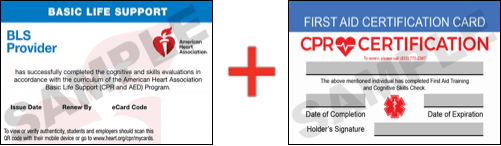 Sample American Heart Association AHA BLS CPR Card Certification and First Aid Certification Card from CPR Certification Cincinnati