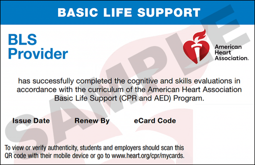 Sample American Heart Association AHA BLS CPR Card Certification from CPR Certification Cincinnati