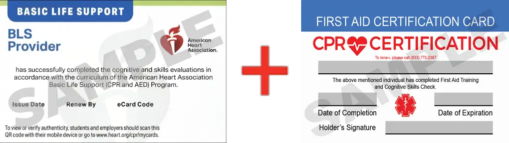 Sample American Heart Association AHA BLS CPR Card Certification and First Aid Certification Card from CPR Certification Cincinnati